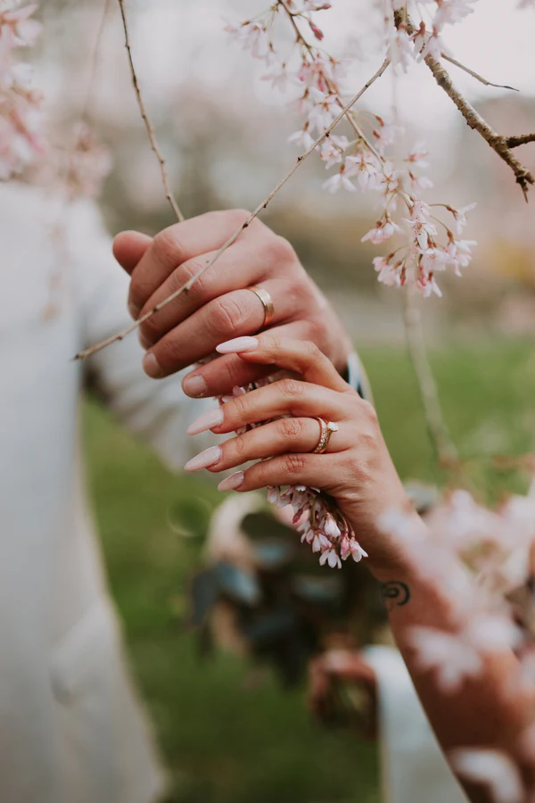 Mains des mariés et alliances parmi les fleurs de cerisier, mariage à Bouillon