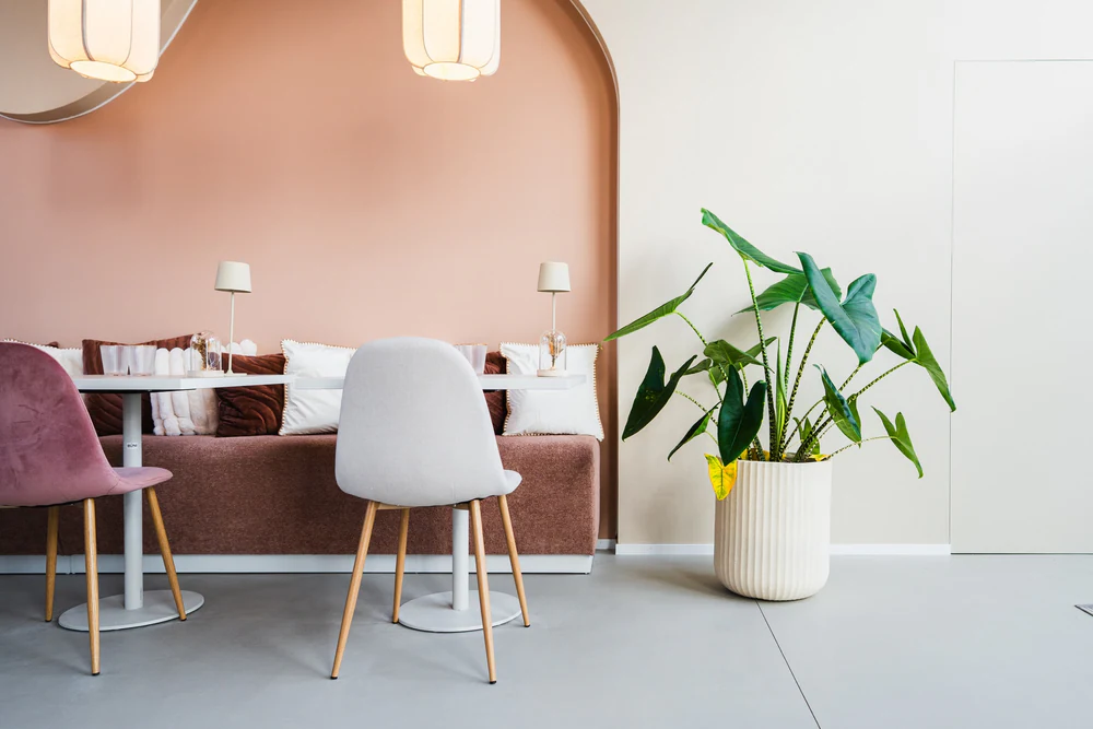 BOW Design · Restaurant Whalain, photographie d'architecture par Gautier Collet