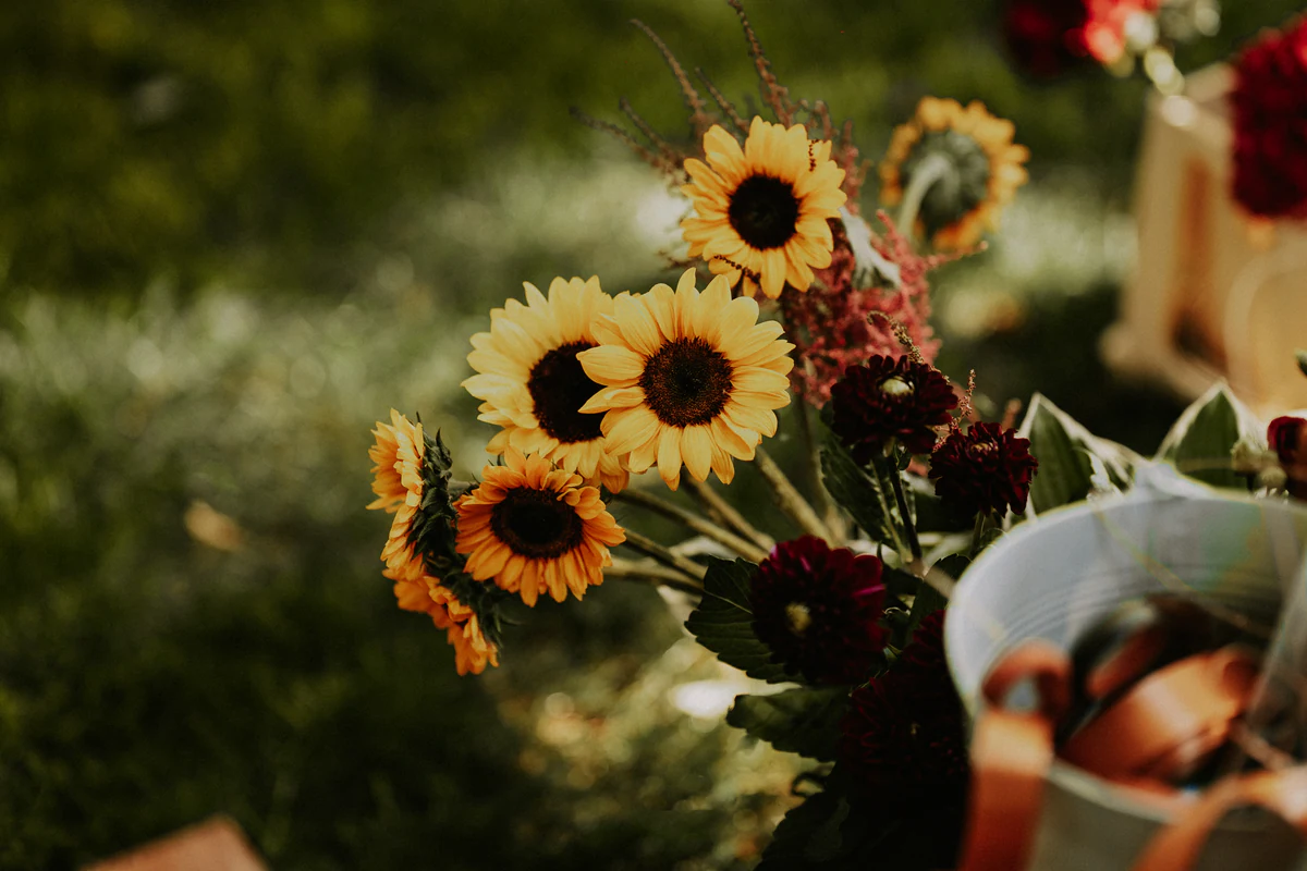 Lucien & Lorine, reportage de mariage par Gautier Collet