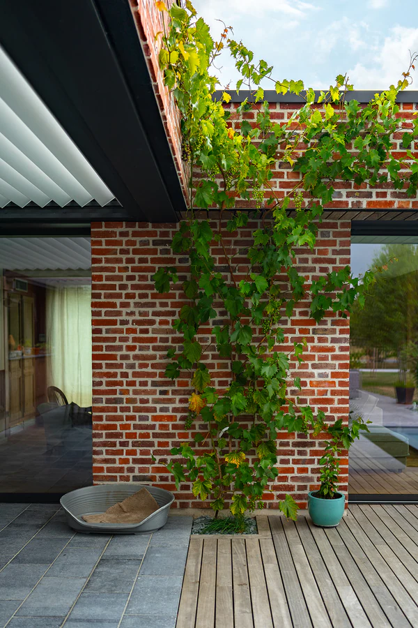 Projet architecte, photographe d'architecture par Gautier Collet