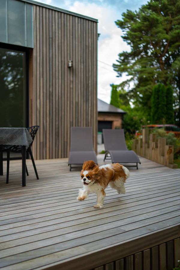 Un chalet dans la nature, photographe d'architecture par Gautier Collet